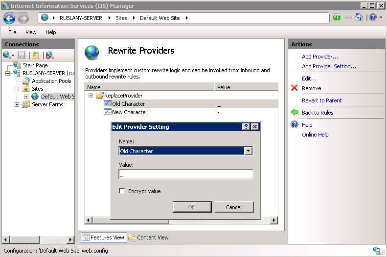 Screenshot of the Edit Provider Setting screen within the Rewrite Providers section of the I I S Manager screen.