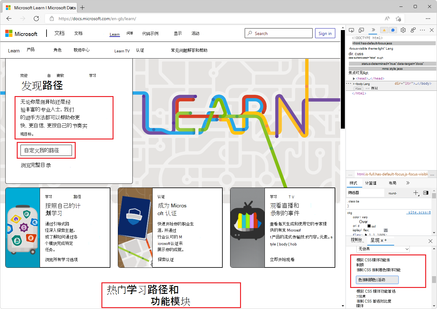 在呈现工具中打开了强制颜色仿真的网页。文本在白色背景上更改为黑色文本