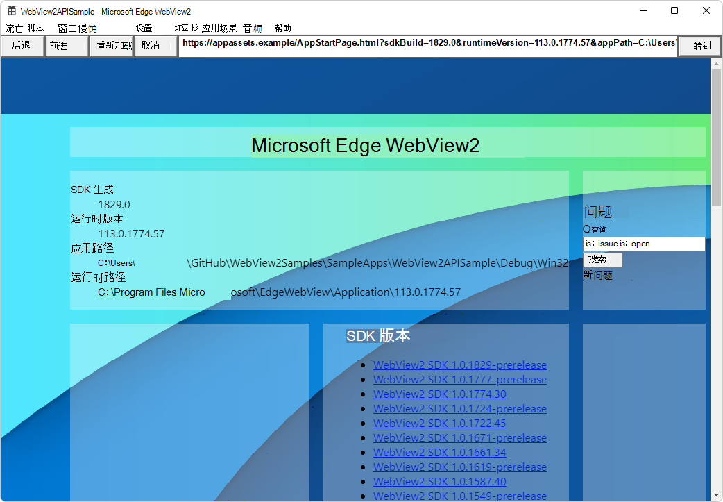 WebView2API 示例应用窗口，其中显示了 WebView2 SDK 版本和 WebView2 运行时版本和路径