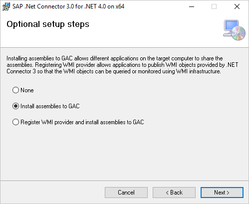 SAP optional setup steps