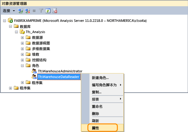 打开 Tfs_Analysis 数据读取器角色属性