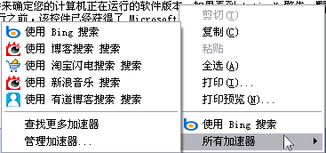 显示可用 Web 服务的“更多加速器”菜单