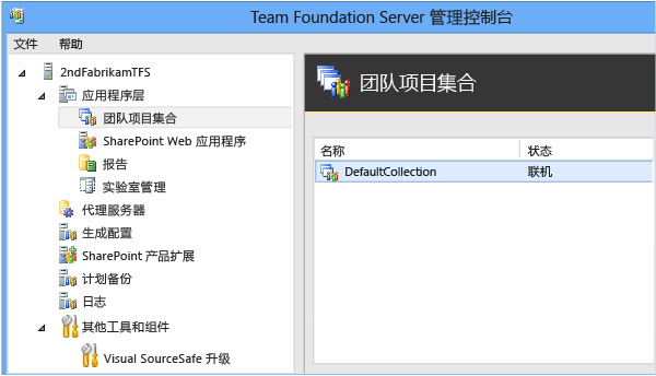 TFS 管理控制台没有显示已分离