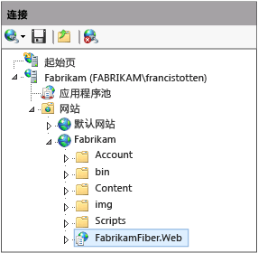 指向 IIS 网站和 Web 应用程序的路径