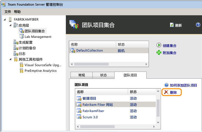 TFS 管理控制台中团队项目的“删除”链接