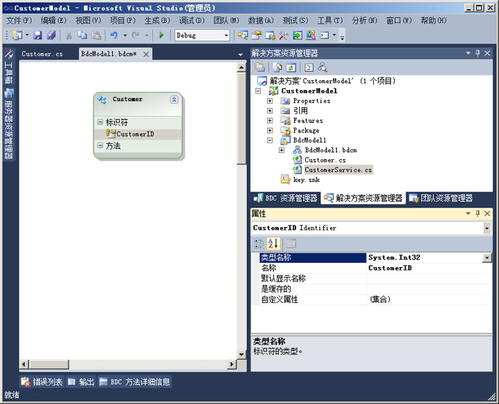 带 CustomerID 变量的客户实体