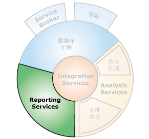 Reporting Services 的组件接口