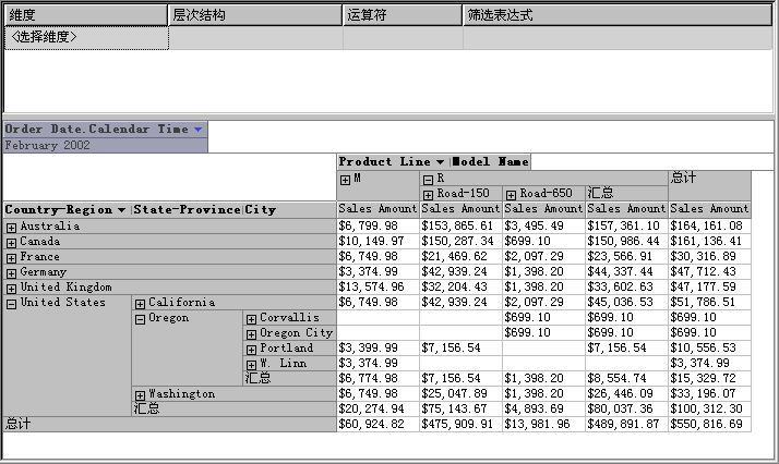 按区域和产品系列划分的“Internet 销售”