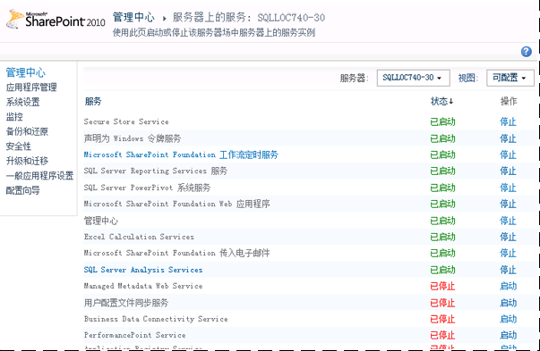 “管理服务器上的服务”页的屏幕快照