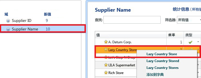 正确供应商名称 - 惰性国家/地区商店