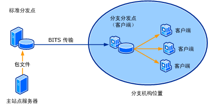 分支分发点图示