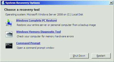 Figure 8 Specifying system recovery options