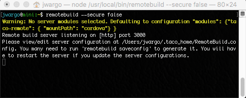 remotebuild server process