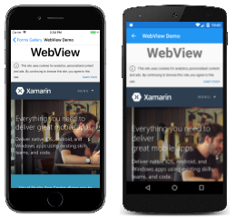WebView 示例