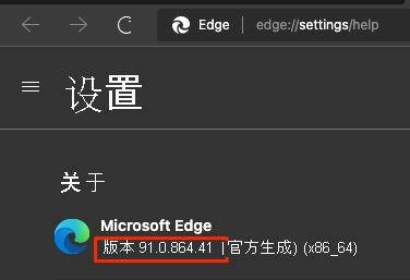 A screenshot of the Microsoft Edge setting page, showing the version number.