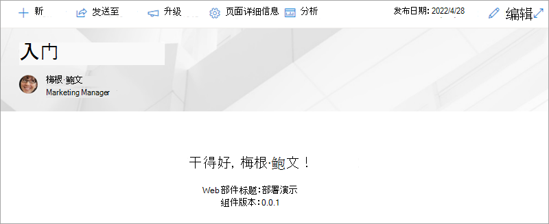 没有图像的 Web 部件的屏幕截图。
