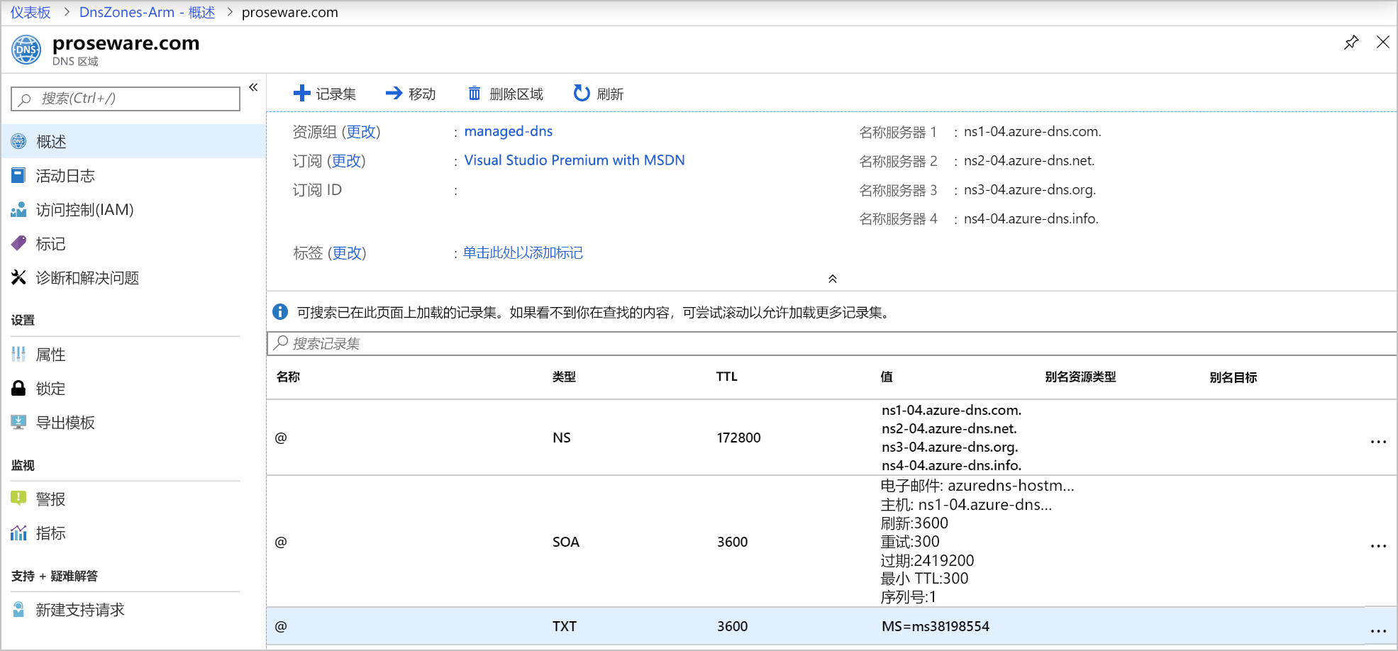 Screenshot of a domain registrar that shows a TXT record for the custom domain.