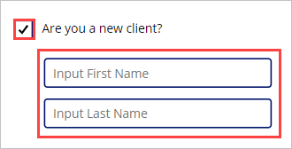 选中询问“您是新客户吗？”复选框的屏幕截图，其中显示了名称和姓氏输入字段。