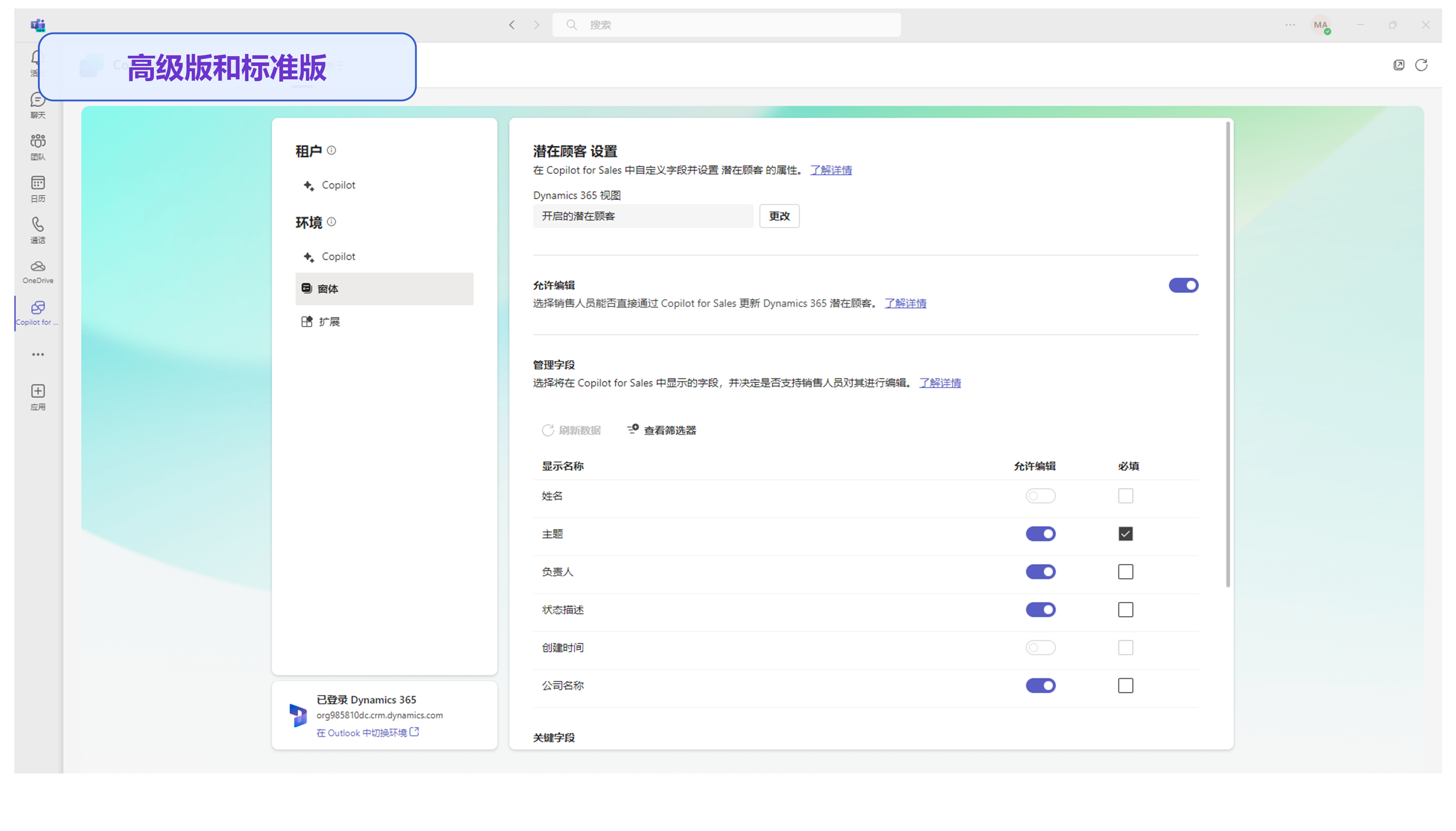“自定义窗体和字段”详细信息的屏幕截图。