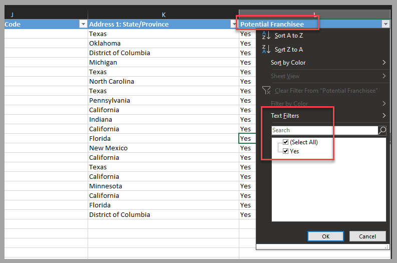 Excel 电子表格的屏幕截图。突出显示了“潜在特许经营商”列标题和“文本筛选器”选项。