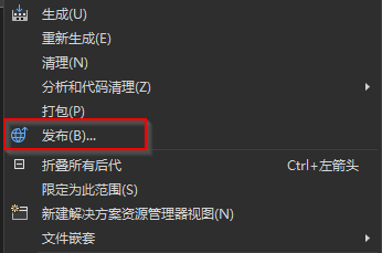 右键单击项目和发布选项的屏幕截图。