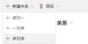 选定多对多关系的屏幕截图。