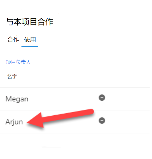 “访问”选项卡上的“协作处理本项目”将“Megan”和“Arjun”列为项目负责人。
