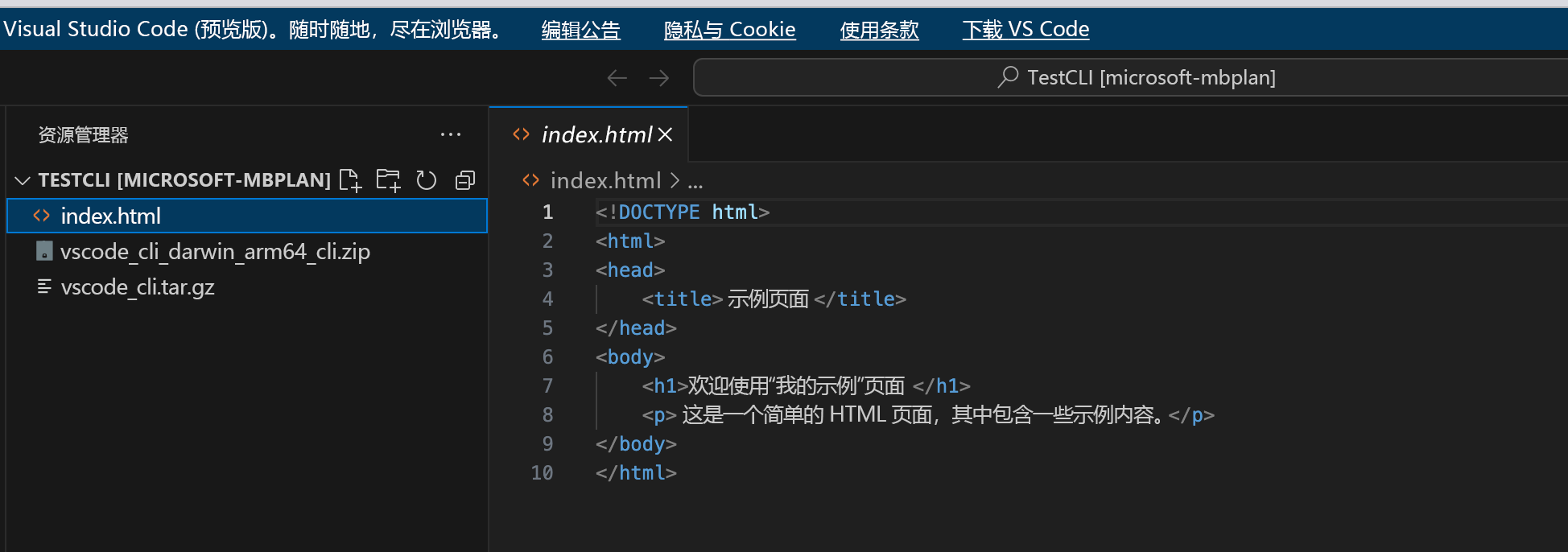 代码的屏幕截图。