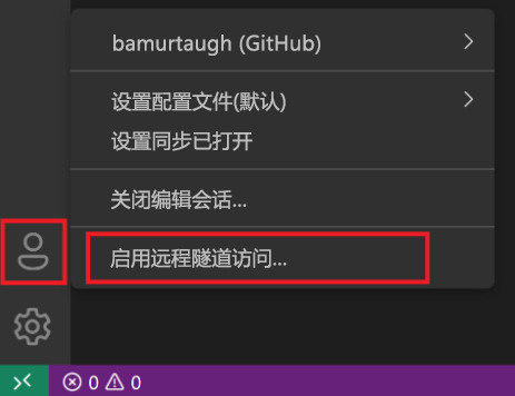 “启用远程隧道访问”的屏幕截图。