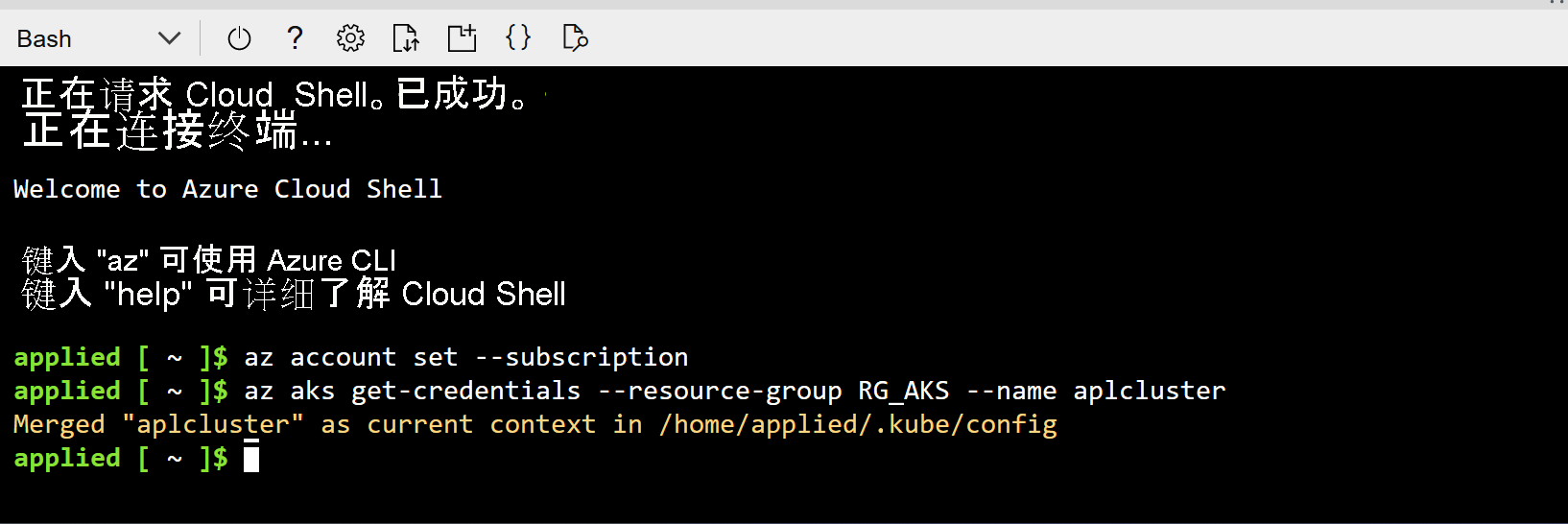 身份验证过程的屏幕截图。