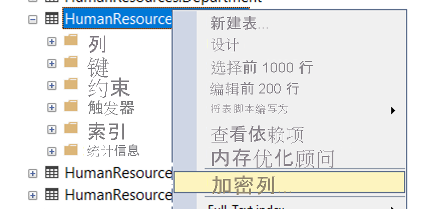 在 SQL Server Management Studio 中启动加密向导。