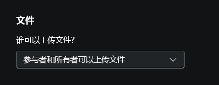 屏幕截图:所有者设置,并特别突出显示了文件上传选项。