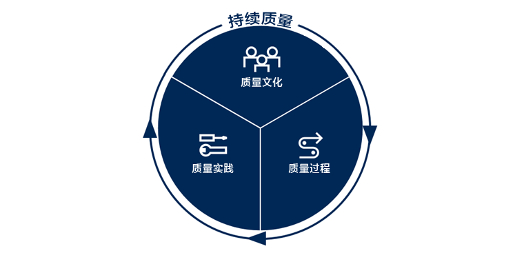 Diagram shows that Continuous Quality includes a quality culture, quality processes, and quality practice.