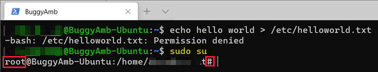 sudo su 命令的屏幕截图。