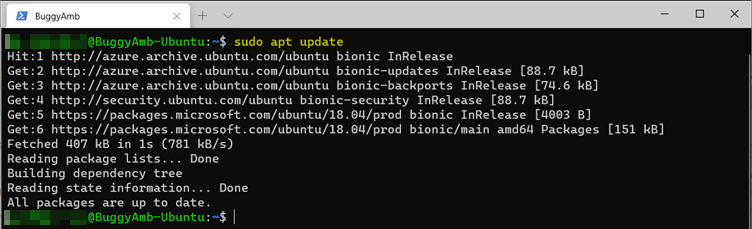 sudo apt update crontjob vulnerability