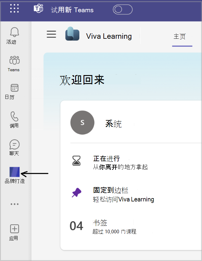 自定义品牌应用图标固定在 Teams 菜单栏上的屏幕截图