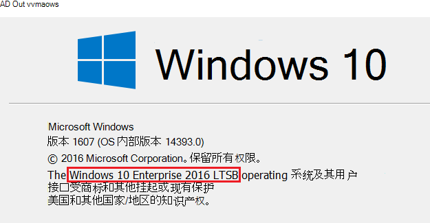 “关于 Windows”显示文本的屏幕截图。