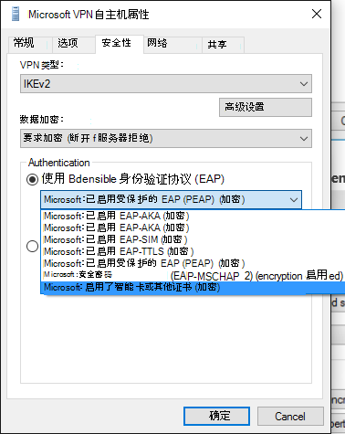 vpn selfhost 属性窗口。