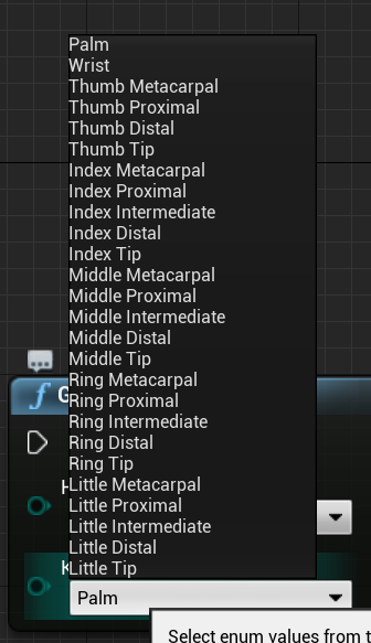 Image of hand keypoint bluprint options