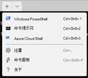 在 Windows 11 上，打开 Windows 终端应用，使用 Windows PowerShell、命令提示符或 Azure Cloud Shell，运行命令。