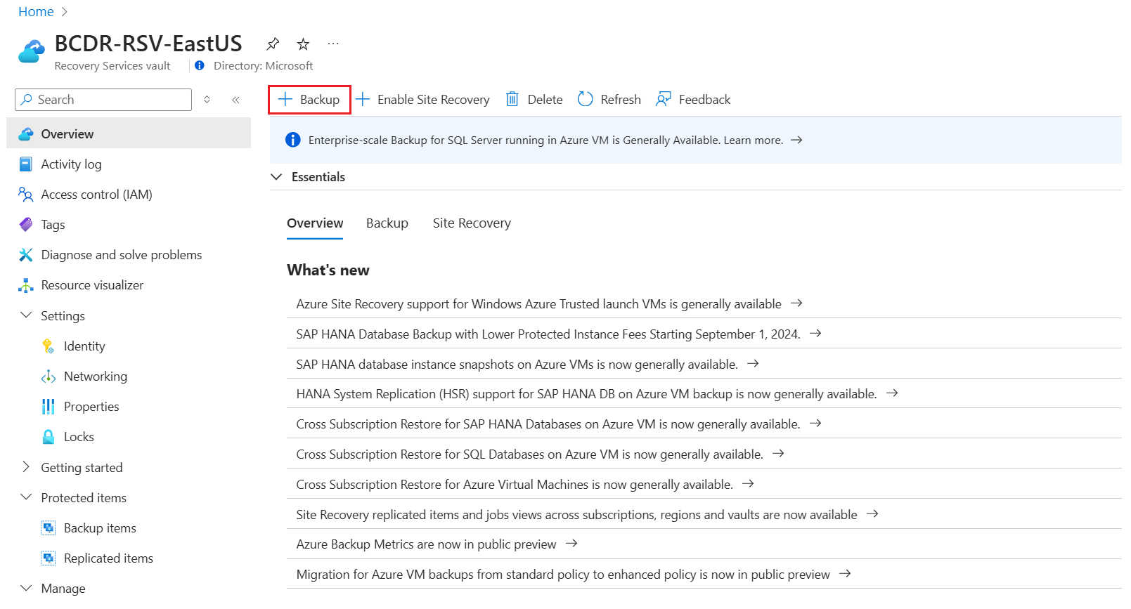 顯示設定 Azure 檔案記憶體備份的螢幕快照。
