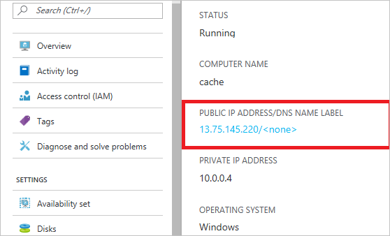 這個螢幕擷取畫面顯示 Azure 入口網站中所顯示虛擬機器的公用 IP 位址