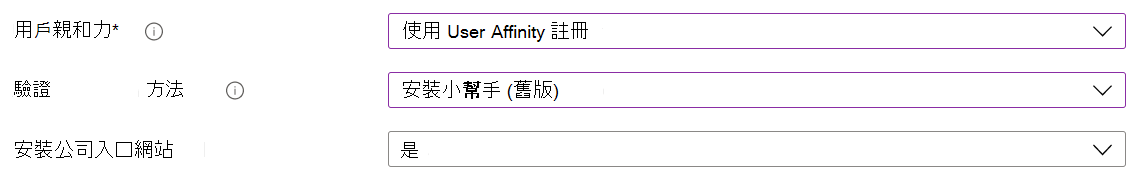 在 Intune 系統管理中心和 Microsoft Intune 中，使用自動裝置註冊來註冊 iOS/iPadOS 裝置 (ADE) 。選取 [使用使用者親和性註冊]、使用設定助理進行驗證，然後安裝公司入口網站應用程式。