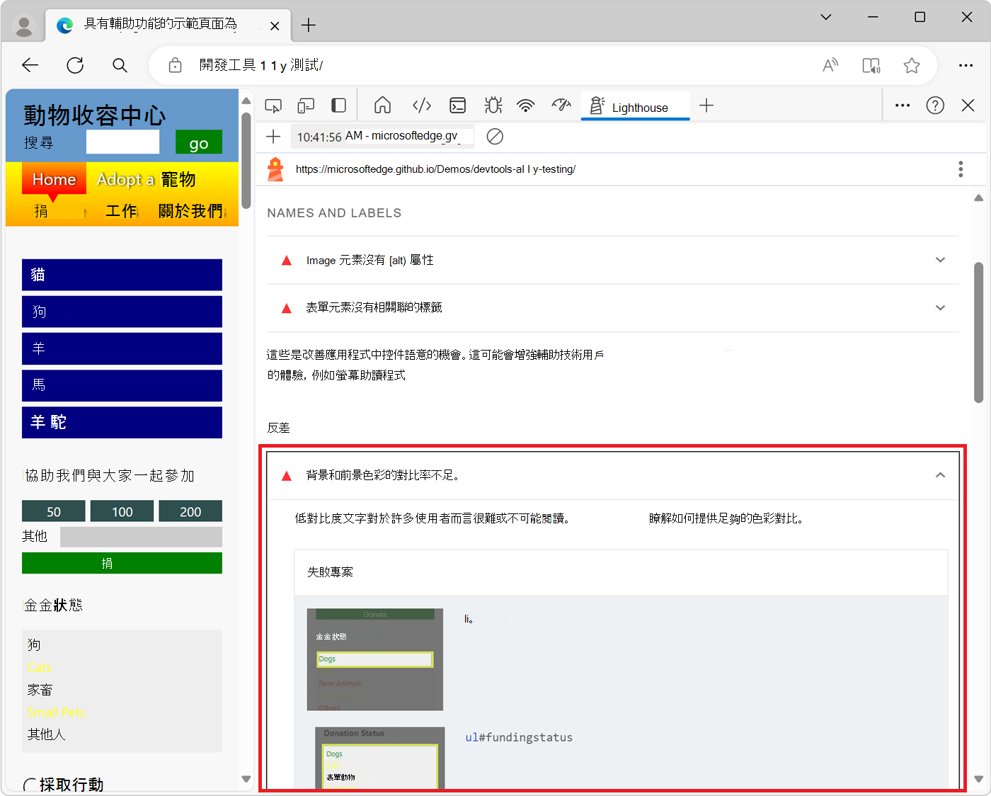 燈塔報告中的擴展議題