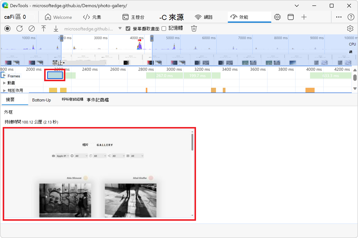 在摘要標籤中查看截圖