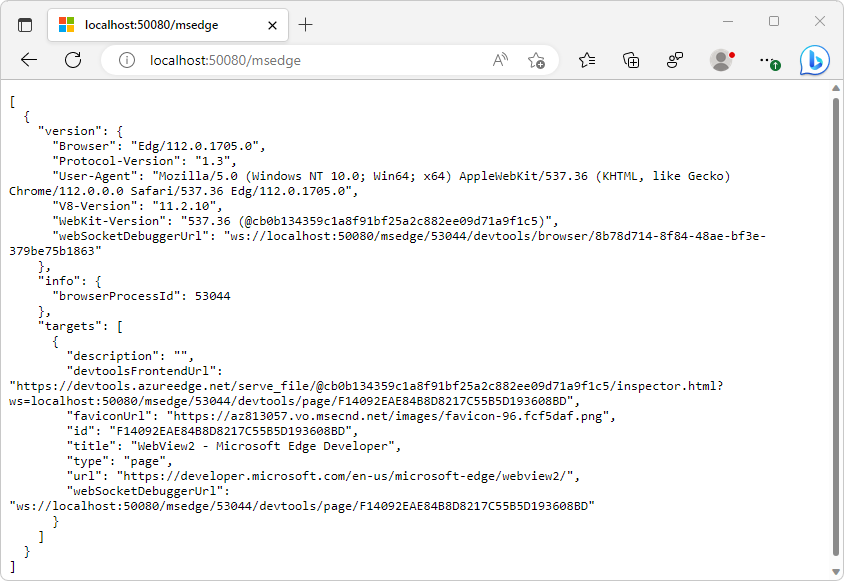 可除錯的 WebView2 實例