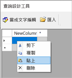 在查詢設計工具中 [貼上] 選項的螢幕擷取畫面。