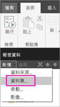 [報表資料] 窗格中 [資料集] 選項的螢幕擷取畫面。