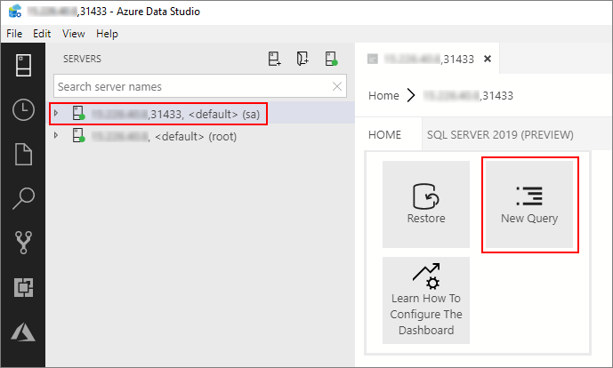 SQL Server 主要實例查詢