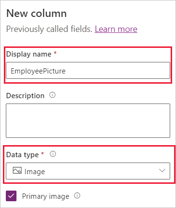 Screenshot of the Employee Picture columns with the Display name and Data type fields highlighted and the Primary image checkbox selected.